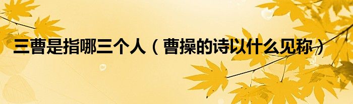 三曹是指哪三个人（曹操的诗以什么见称）