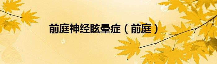前庭神经眩晕症（前庭）