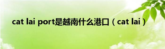 cat lai port是越南什么港口（cat lai）
