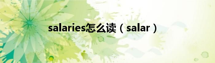salaries怎么读（salar）