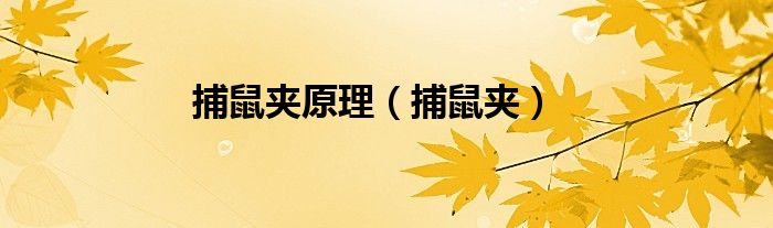捕鼠夹原理（捕鼠夹）
