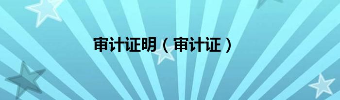 审计证明（审计证）