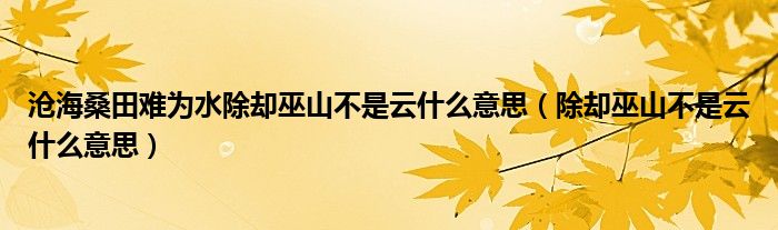 沧海桑田难为水除却巫山不是云什么意思（除却巫山不是云什么意思）
