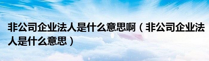 非公司企业法人是什么意思啊（非公司企业法人是什么意思）