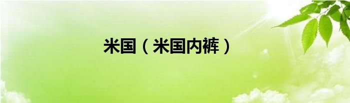 米国（米国内裤）