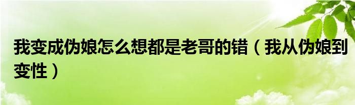 我变成伪娘怎么想都是老哥的错（我从伪娘到变性）