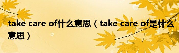 take care of什么意思（take care of是什么意思）
