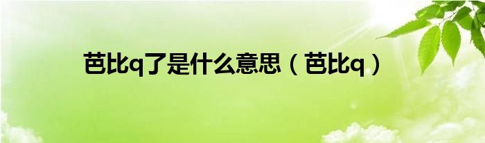 芭比q了是什么意思（芭比q）