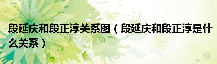 段延庆和段正淳关系图（段延庆和段正淳是什么关系）
