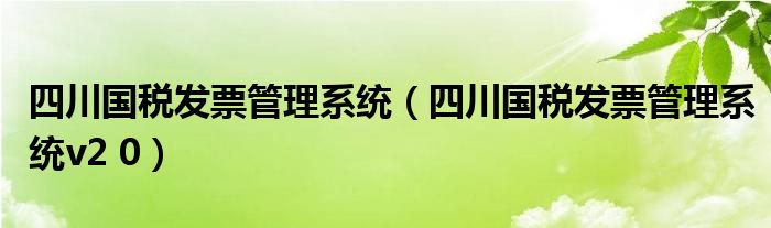 四川国税发票管理系统（四川国税发票管理系统v2 0）