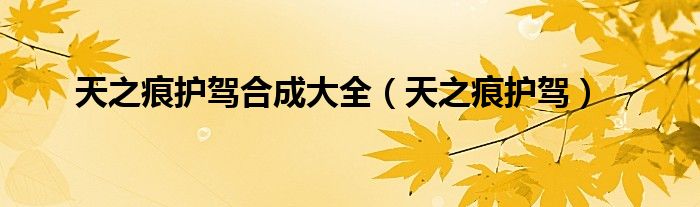 天之痕护驾合成大全（天之痕护驾）