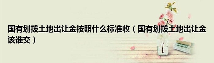 国有划拨土地出让金按照什么标准收（国有划拨土地出让金该谁交）