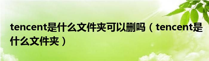 tencent是什么文件夹可以删吗（tencent是什么文件夹）