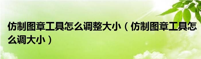 仿制图章工具怎么调整大小（仿制图章工具怎么调大小）