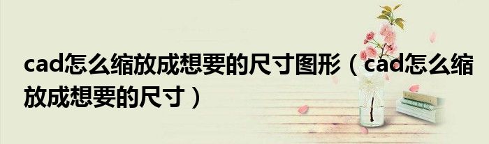 cad怎么缩放成想要的尺寸图形（cad怎么缩放成想要的尺寸）