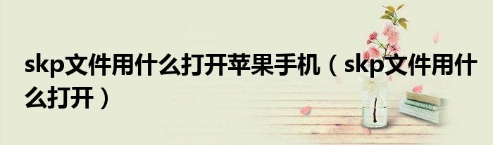 skp文件用什么打开苹果手机（skp文件用什么打开）