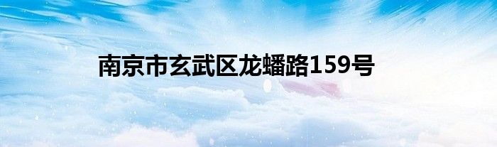 南京市玄武区龙蟠路159号