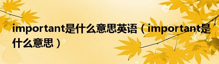 important是什么意思英语（important是什么意思）