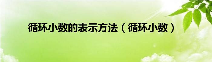 循环小数的表示方法（循环小数）