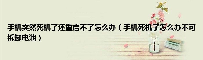 手机突然死机了还重启不了怎么办（手机死机了怎么办不可拆卸电池）