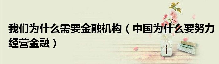 我们为什么需要金融机构（中国为什么要努力经营金融）