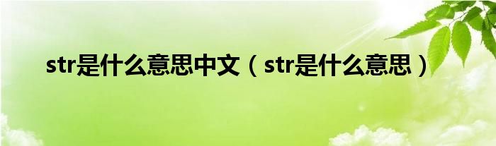 str是什么意思中文（str是什么意思）