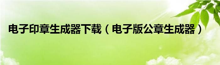 电子印章生成器下载（电子版公章生成器）
