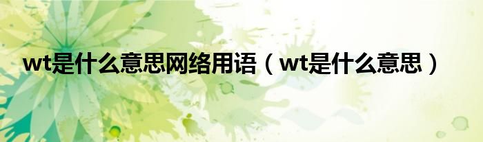 wt是什么意思网络用语（wt是什么意思）