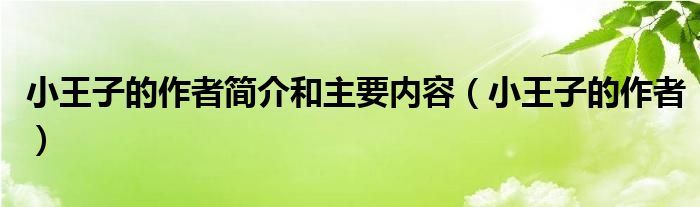 小王子的作者简介和主要内容（小王子的作者）