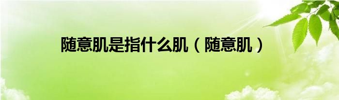 随意肌是指什么肌（随意肌）