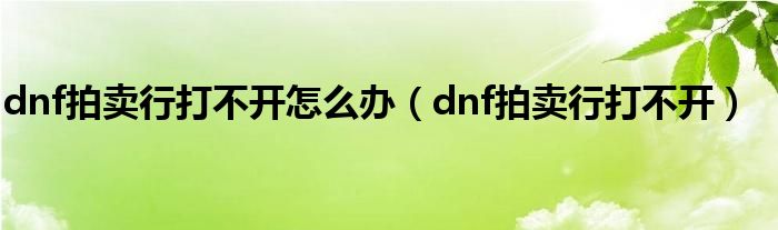 dnf拍卖行打不开怎么办（dnf拍卖行打不开）