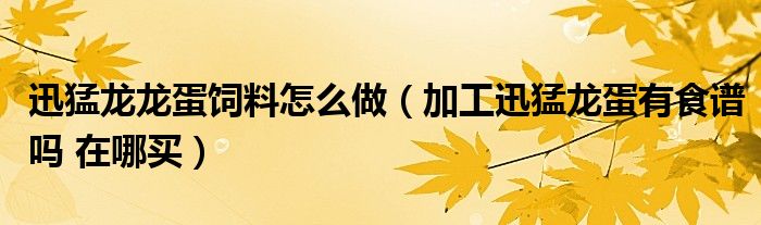 迅猛龙龙蛋饲料怎么做（加工迅猛龙蛋有食谱吗 在哪买）