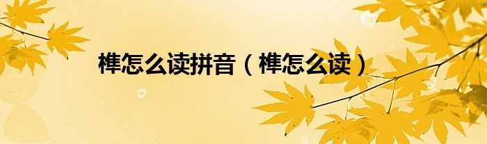榫怎么读拼音（榫怎么读）