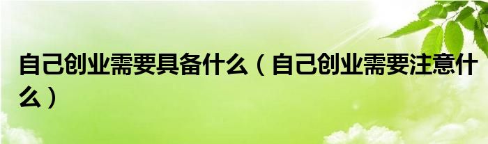 自己创业需要具备什么（自己创业需要注意什么）