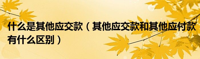 什么是其他应交款（其他应交款和其他应付款有什么区别）