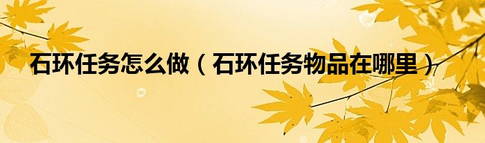 石环任务怎么做（石环任务物品在哪里）