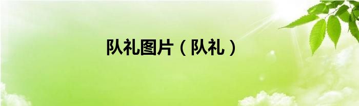 队礼图片（队礼）