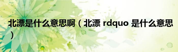 北漂是什么意思啊（北漂 rdquo 是什么意思）
