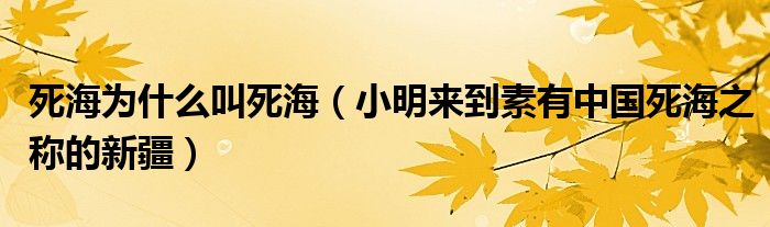 死海为什么叫死海（小明来到素有中国死海之称的新疆）