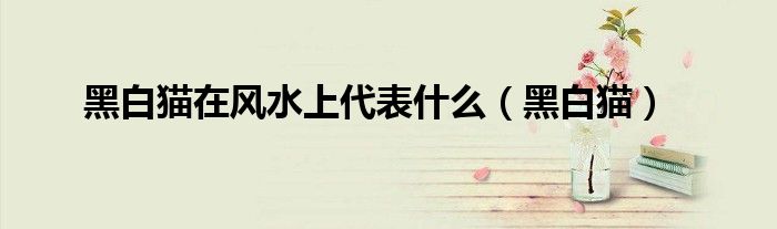 黑白猫在风水上代表什么（黑白猫）