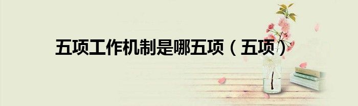 五项工作机制是哪五项（五项）