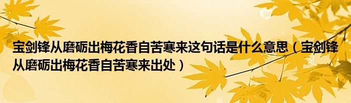 宝剑锋从磨砺出梅花香自苦寒来这句话是什么意思（宝剑锋从磨砺出梅花香自苦寒来出处）