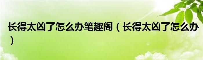 长得太凶了怎么办笔趣阁（长得太凶了怎么办）