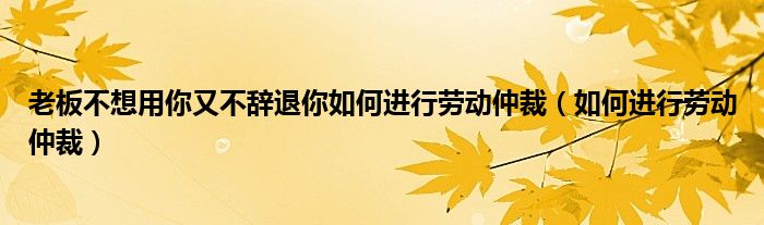 老板不想用你又不辞退你如何进行劳动仲裁（如何进行劳动仲裁）