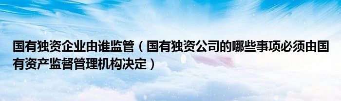 国有独资企业由谁监管（国有独资公司的哪些事项必须由国有资产监督管理机构决定）