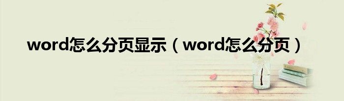 word怎么分页显示（word怎么分页）