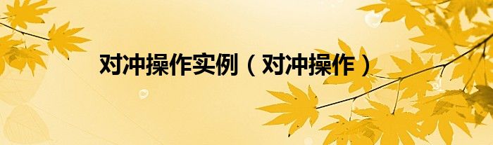 对冲操作实例（对冲操作）