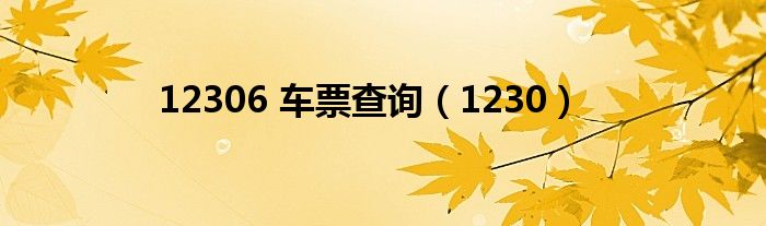 12306 车票查询（1230）