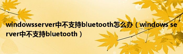 windowsserver中不支持bluetooth怎么办（windows server中不支持bluetooth）