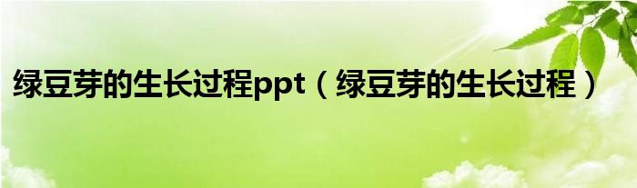 绿豆芽的生长过程ppt（绿豆芽的生长过程）